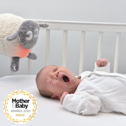 Play Time: DELUXE Ewan Dream Sheep