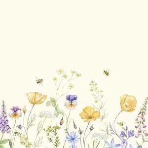 Aotearoa Childbirth Education Directory: Honeyborn Balanced Birth Education