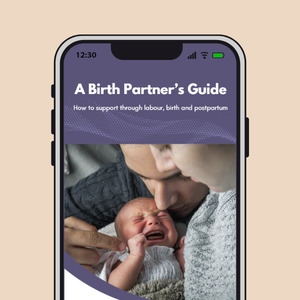 A Birth Partner's Guide e-book