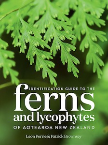 book: Identification Guide to the Ferns and Lycophytes of Aotearoa New Zealand