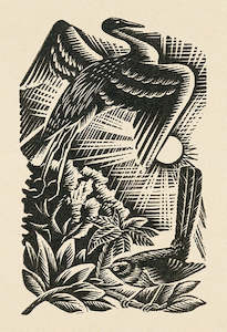 Wholesale: Birds; 1955 - Card