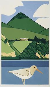 Robin White, 'White oystercatcher and Harbour Cone' - Print - wholesale