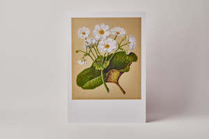 Sarah Featon Mountain Lily A3 Print