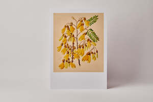 Sarah Featon Kowhai A3 Print