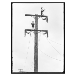 Pole by Leslie Adkin: Print A4