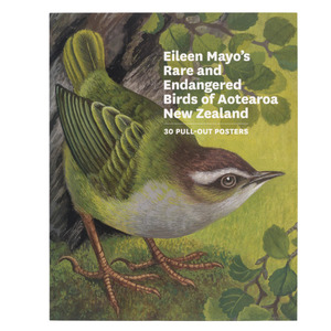Eileen Mayos Rare and Endangered Birds of Aotearoa New Zealand