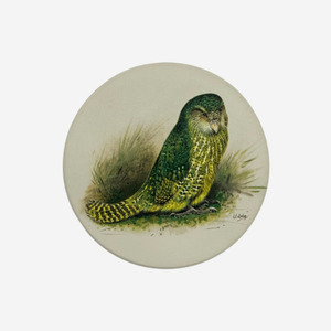 George Lodge Coaster Kākāpō