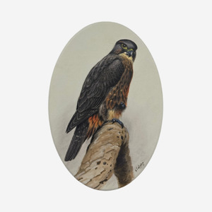 Products: George Lodge Trivet Art Falcon Kārearea