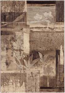 Modern Design Beige & Brown Shade Argentum Rug