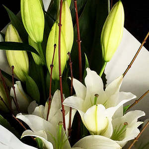 Hand Tied Bouquet: Opulent Orientals