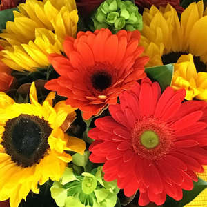 Vox Box: Sunshine Smiles