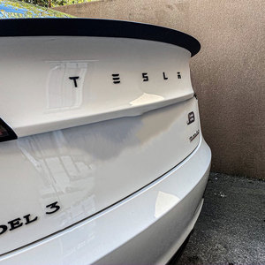 Products: TESLA Letter Badge - Model Y / Model 3- Tessories NZ