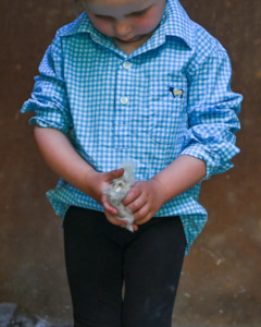 Luvabull: Kids Summer Shirt - Jack