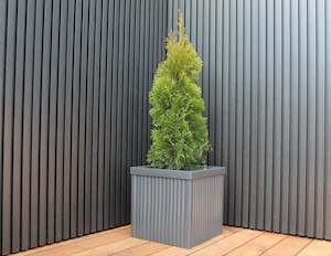 Indoor Outdoor Pots: Tuscany Planter