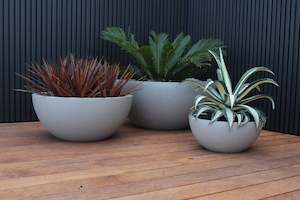 Barcelona Bowl Planter
