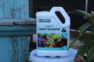 Plants Beginning With L: Liquid Seaweed 1L Concentrate