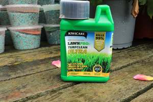 Lawn Care: Lawnpro Turfclean Ultra