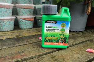Lawnpro Fungus Control