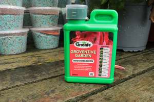 Plants Beginning With G: Groventive Garden