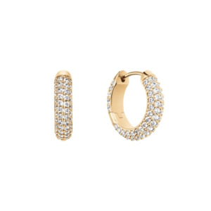 Daniel Wellington Brass Gold Plated Pavé Earrings