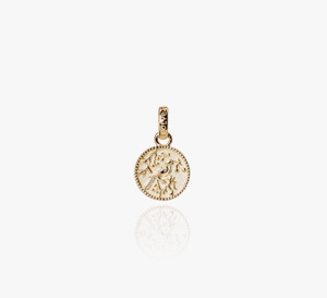 Evolve Necklaces Chains Pendants: Evolve Gold Plated Tui Coin Pendant