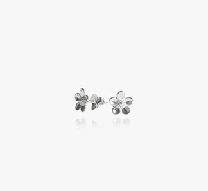 Evolve Sterling Silver Manuka Vitality Stud Earrings