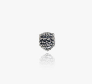 Evolve 1: Evolve Sterling Silver Pinecone Resilient Charm