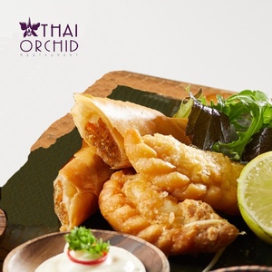 Mini Mix of Spring Rolls & Curry Puffs