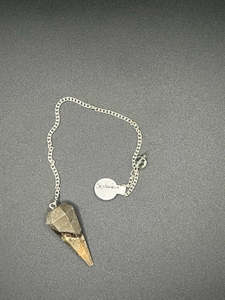 Gifts For Home Garden: Crystal Pendulum - Septarian