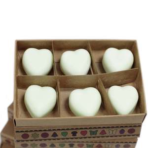 Luxury Soy Wax Melts - Apple Spice (Box of 6)