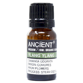 Organic Essential Oils 10ml: Ylang Ylang Organic Essential Oil - 10ml