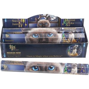 Lisa Parker Scented Incense Sticks: Lisa Parker Jasmine Scented Success Incense Sticks