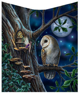 Luxurious Nemesis Now Throws Couples Blankets: Fairy Tales Throw - Lisa Parker - 160cm