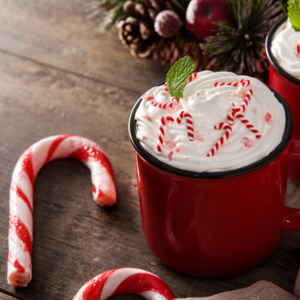 Essential Fragrance Oils: Peppermint Mocha Fragrance Oil