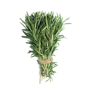 Essential Oils Aromatherapy: Rosemary Essential Oil