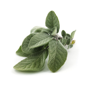 Essential Oils Aromatherapy: Clary Sage Essential Oil