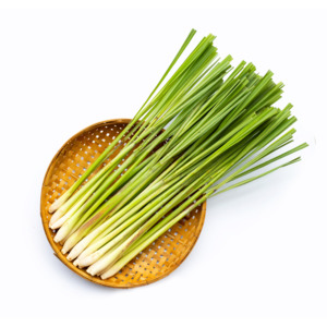 Essential Oils Aromatherapy: Lemongrass Essential Oil