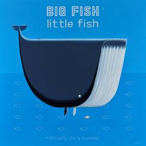 Big Fish Little Fish