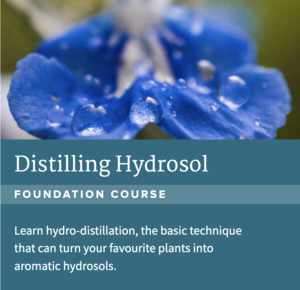 Products: Distilling Hydrosol Course