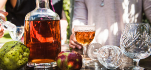 Products: Distilling Alcohol – The Alembics Lab