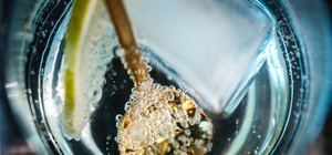 Products: Gin Immersion – The Alembics Lab