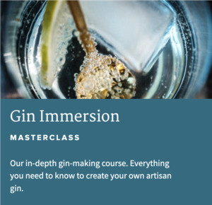 Courses: Gin Immersion Course