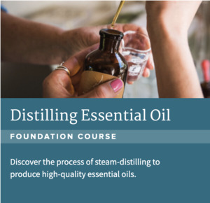 Courses: Distilling Essential Oil Course