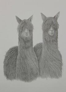 Products: Greetings Card (Blank) - Two Suri - The Alpaca Company