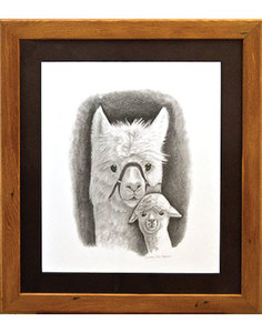 Dam and Cria - The Alpaca Company