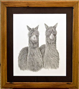 Products: Two Suri - The Alpaca Company