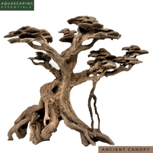 Ancient Canopy Resin Bonsai Tree