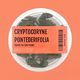 Cryptocoryne Pontederiifolia ‘Schott’ Tissue Culture (Aquascaping Essentials)
