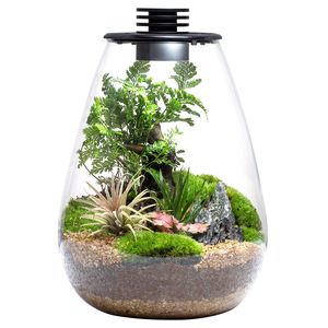 Bioloark: Bioloark Bio Bottle LED SD