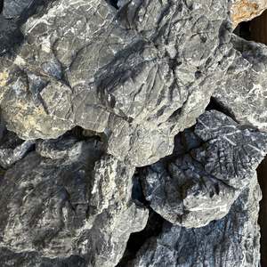 Stones: Turtle Vein Stone